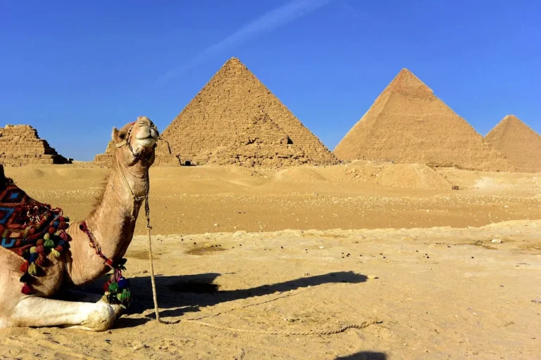 11 Days Journey Through History, Culture, and Beauty